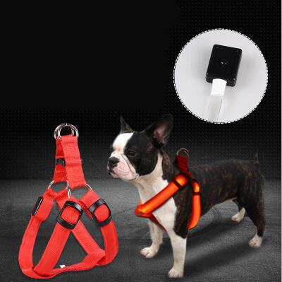 LED Hundegeschirr